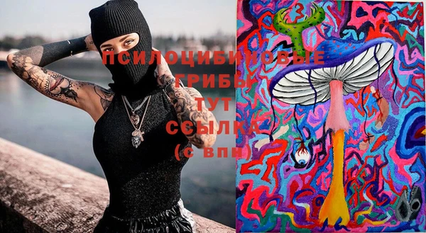 винт Баксан