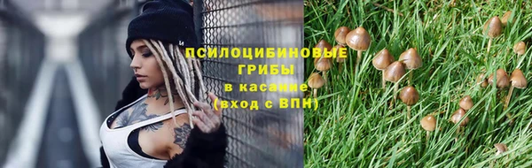 винт Баксан