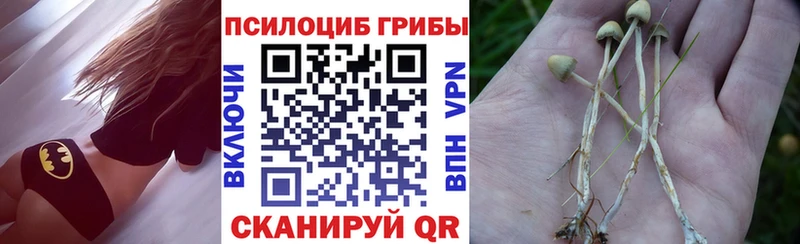 даркнет сайт  shop телеграм  гидра ССЫЛКА  Псилоцибиновые грибы Psilocybe  Покровск 